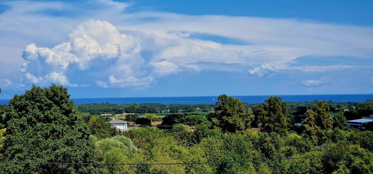 Villa Bistinetti Rez De Villa Tout Confort Avec Piscine Penta di Casinca Buitenkant foto